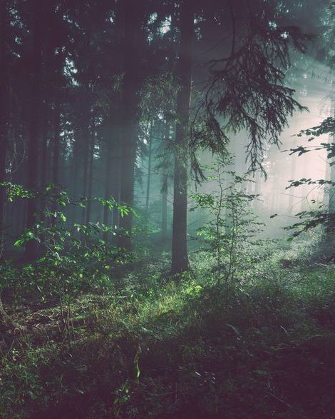 Niewidzialna wystawa